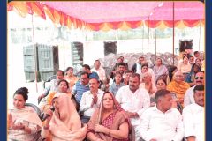 Brainwaves Grand parents day  - 10